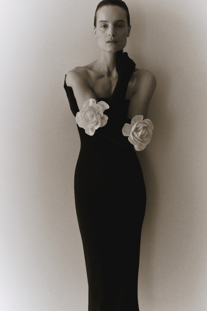 2-charlotte-t-main-book