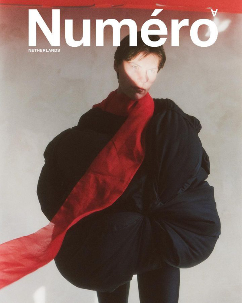 13-tarima-darim-portfolio