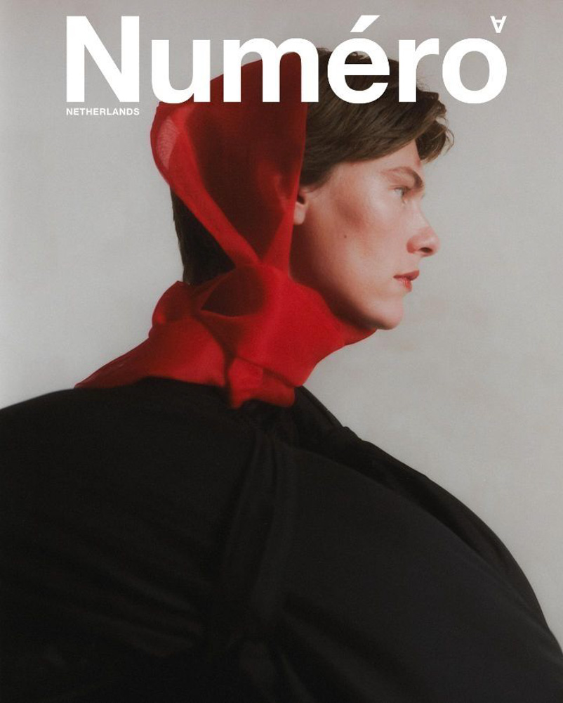 14-tarima-darim-portfolio