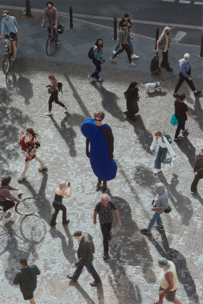 6-tarima-darim-portfolio